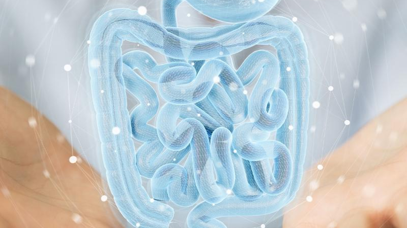 Distrofia-di-Duchenne-Cnr-nuove-evidenze-ruolo-microbiota-intestinale.jpg